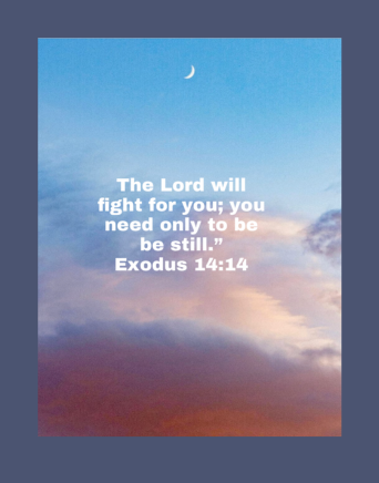 Sample Bible Study Cover